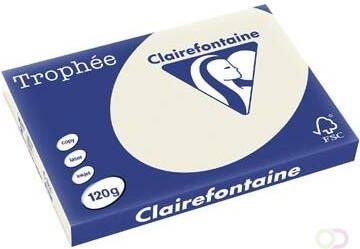 Clairefontaine Trophée Pastel gekleurd papier A3 120 g 250 vel parelgrijs